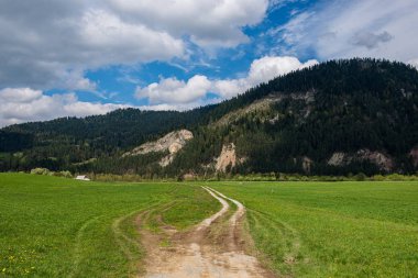 slovakya Tatra dağ sisli havalarda üstleri