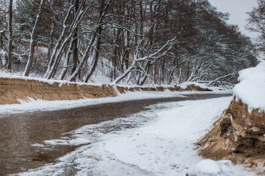 ağaçlar ile orman kayalık dere doğal nehir görünümü manzara