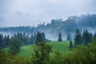 slovakya Tatra dağ sisli havalarda üstleri