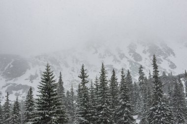 slovakya Tatra dağ sisli havalarda üstleri