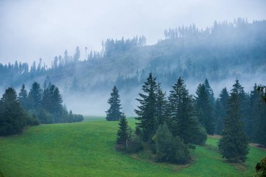 slovakya Tatra dağ sisli havalarda üstleri
