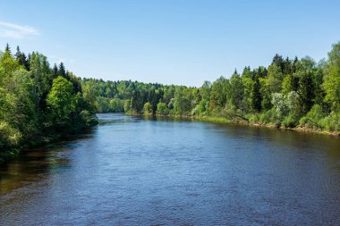 ağaçlar ile orman kayalık dere doğal nehir görünümü manzara
