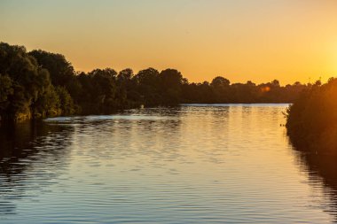 ağaçlar ile orman kayalık dere doğal nehir görünümü manzara