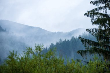 slovakya Tatra dağ sisli havalarda üstleri