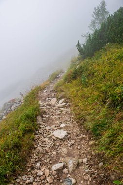 slovakya Tatra dağ sisli havalarda üstleri