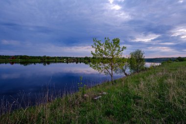 doğal ağaçlar ve yeşil otlaklar ile ilkbaharda nehir kıyısı