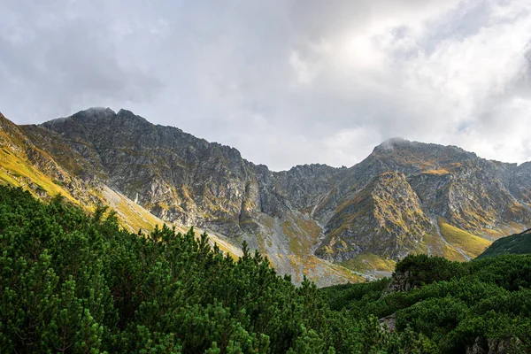 Słowacja Tatry górskie szczyty w mglisty Pogoda — Zdjęcie stockowe