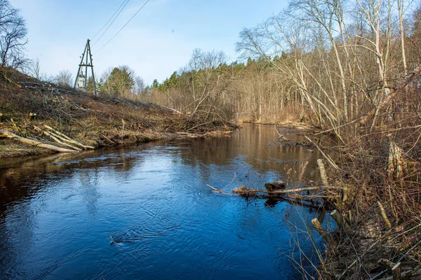 ağaçlar ile orman kayalık dere doğal nehir görünümü manzara