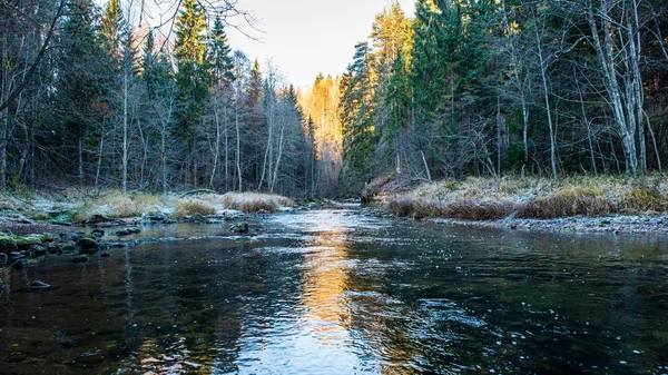 Malerischen Fluss Ansicht Landschaft des Waldes felsigen Bach mit Bäumen auf — Stockfoto