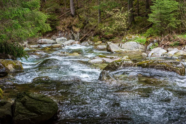 Vista panoramica sul fiume paesaggio di foresta torrente roccioso con alberi su — Foto Stock