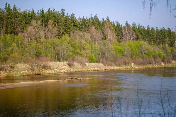 Riva del fiume in primavera con alberi panoramici e pascoli verdi — Foto Stock