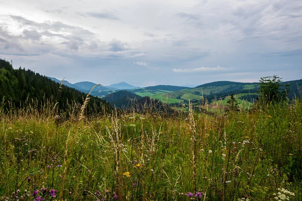 Slovensko Tatra vrcholky hor v mlhavém počasí — Stock fotografie