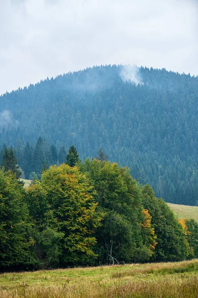 Słowacja Tatry górskie szczyty w mglisty Pogoda — Zdjęcie stockowe