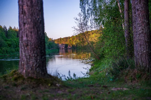 Naturskön flodutsikt landskap av skog stenig bäck med träd på — Stockfoto