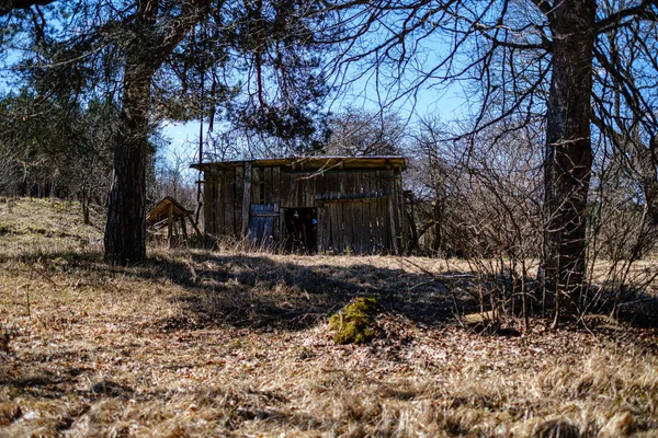 Alte Holzplankenkonstruktion im Grünen — Stockfoto