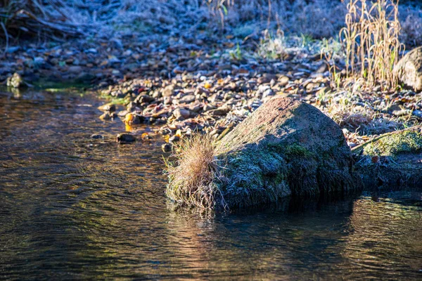 Schilderachtig uitzicht op de rivier landschap van forest Rocky stream met bomen op — Stockfoto