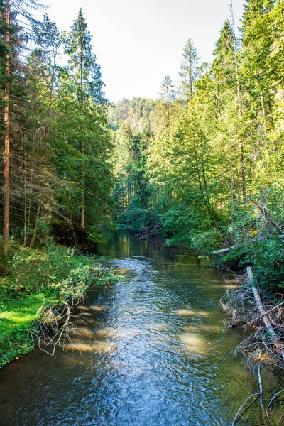 Malebná řeka s výhledem na krajinu lesních skalnatých proudů se stromy na — Stock fotografie