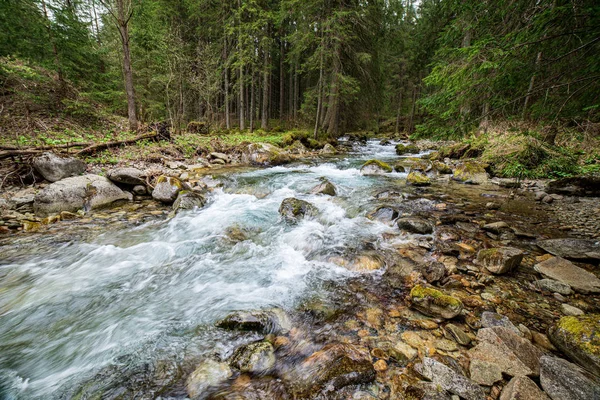 Malebná řeka s výhledem na krajinu lesních skalnatých proudů se stromy na — Stock fotografie