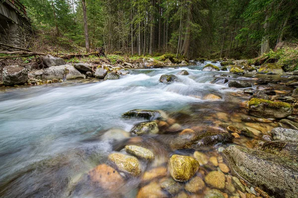 Malebná řeka s výhledem na krajinu lesních skalnatých proudů se stromy na — Stock fotografie