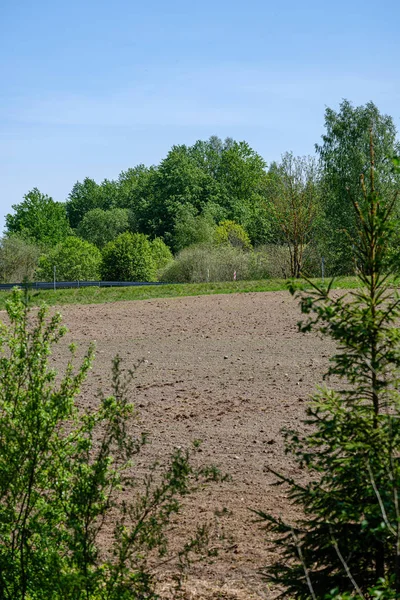 Засеянных полей с темной почвой возле леса в сельской местности — стоковое фото