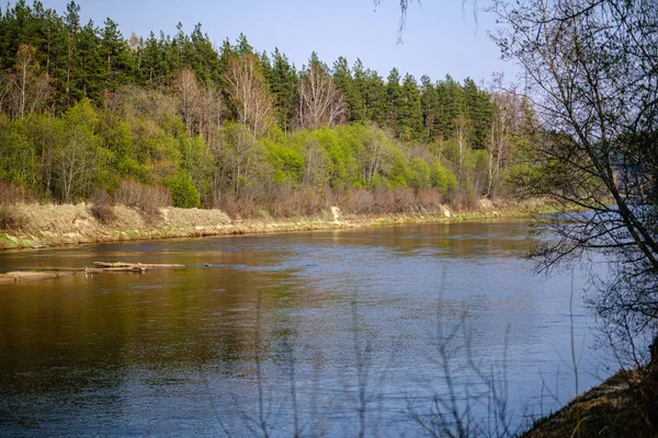 Na břehu řeky na jaře s malebnými stromy a zelenými pastvinami — Stock fotografie