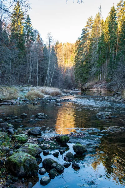 Malebná řeka s výhledem na krajinu lesních skalnatých proudů se stromy na — Stock fotografie