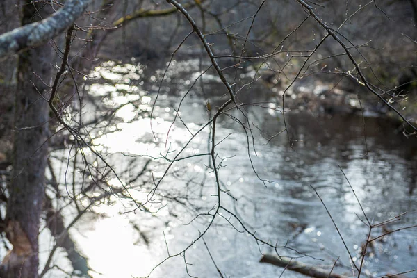 Schilderachtig uitzicht op de rivier landschap van forest Rocky stream met bomen op — Stockfoto