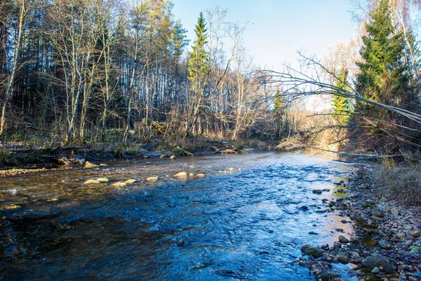 ağaçlar ile orman kayalık dere doğal nehir görünümü manzara