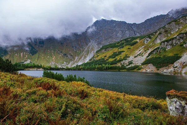 Словакия Татры горные озера в туманную погоду — стоковое фото