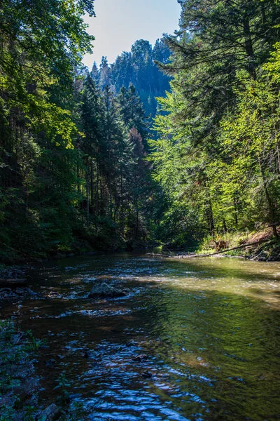 Schilderachtig uitzicht op de rivier landschap van forest Rocky stream met bomen op — Stockfoto