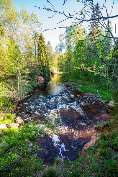 ağaçlar ile orman kayalık dere doğal nehir görünümü manzara
