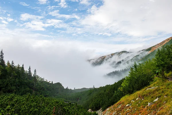 slovakya Tatra dağ sisli havalarda üstleri