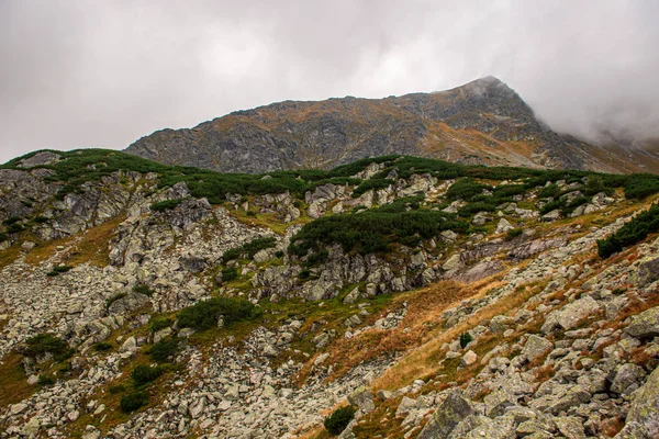 Slovakia Tatra cumes da montanha em tempo nebuloso — Fotografia de Stock