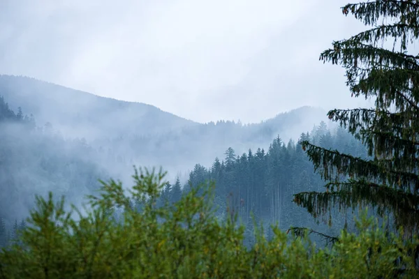 Slovaquie Tatra sommets par temps brumeux — Photo