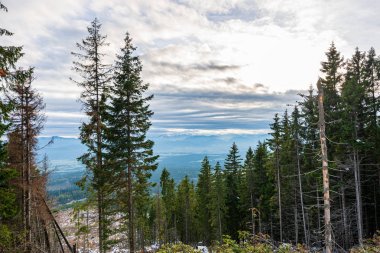 slovakya tatra dağ zirveleri kış aylarında kar altında