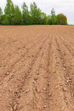ağrı için koyu ve ıslak toprak ile kırsal ekili alanlar