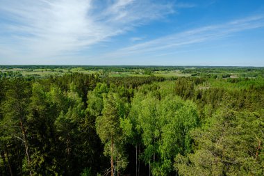 yukarıdan kırsal yaz gün sonsuz ormanlar