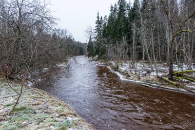 kış kırsalında donmuş nehir