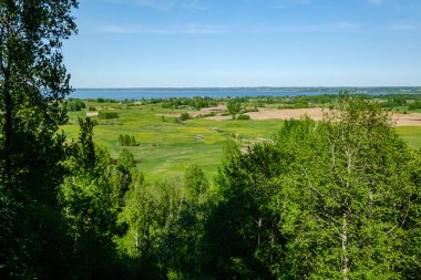 yukarıdan kırsal yaz gün sonsuz ormanlar