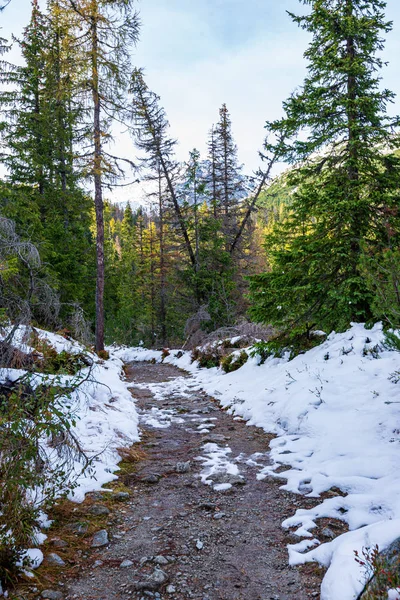 Slovensko Tatra horské turistické stezky pod sněhem ve Wintu — Stock fotografie