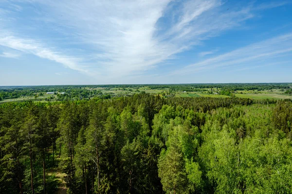 Ändlösa skogar på sommaren dayat landsbygden från ovan — Stockfoto