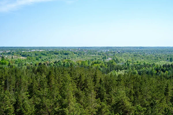 Eindeloze bossen in de zomer dayat platteland van bovenaf — Stockfoto