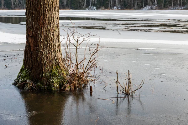 Zugefrorener Fluss in winterlicher Landschaft — Stockfoto