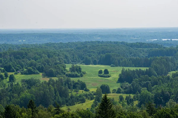 Endlose Felder und Wälder mit grünen Bäumen im Nebel auf dem Land — Stockfoto