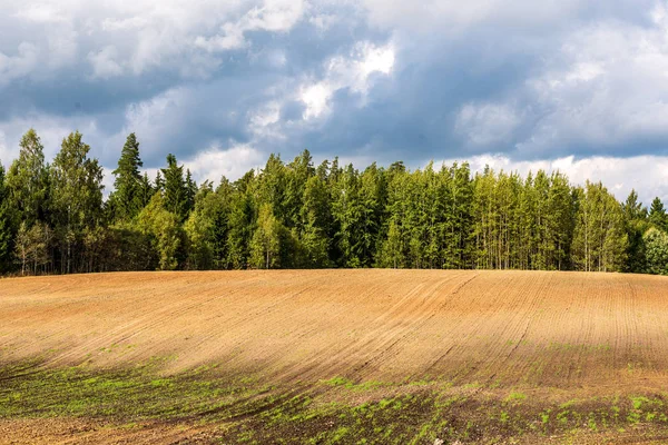 Cultivated fields in countryside with dark and wet soil for agri — Stock Photo, Image