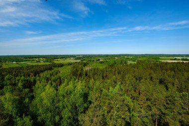 yukarıdan kırsal yaz gün sonsuz ormanlar
