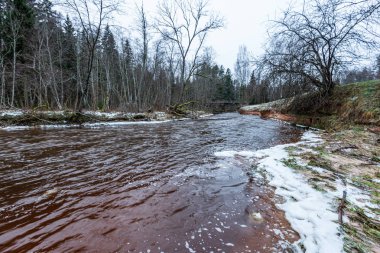 kış kırsalında donmuş nehir