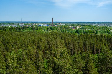 yukarıdan kırsal yaz gün sonsuz ormanlar