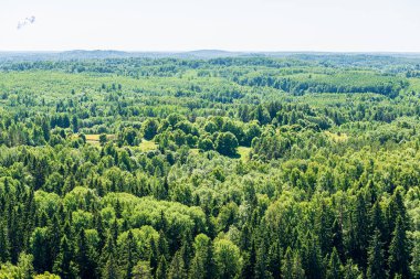 yukarıdan kırsal yaz gün sonsuz ormanlar