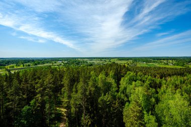 yukarıdan kırsal yaz gün sonsuz ormanlar